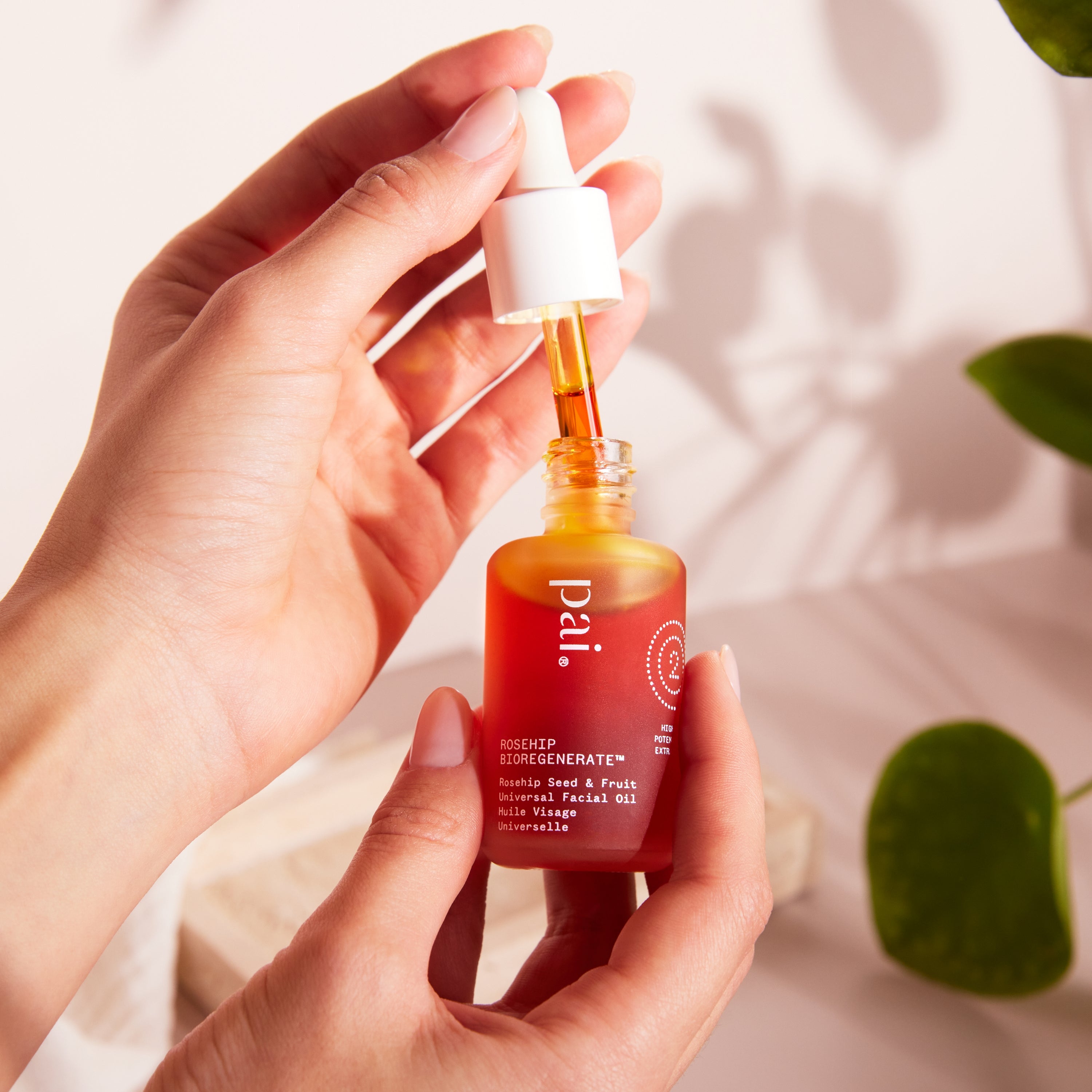 Pai Skincare UK